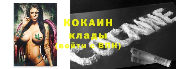 твердый Арсеньев