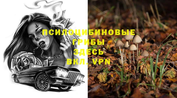 дмт Армянск