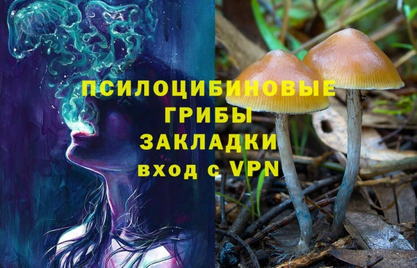 твердый Арсеньев